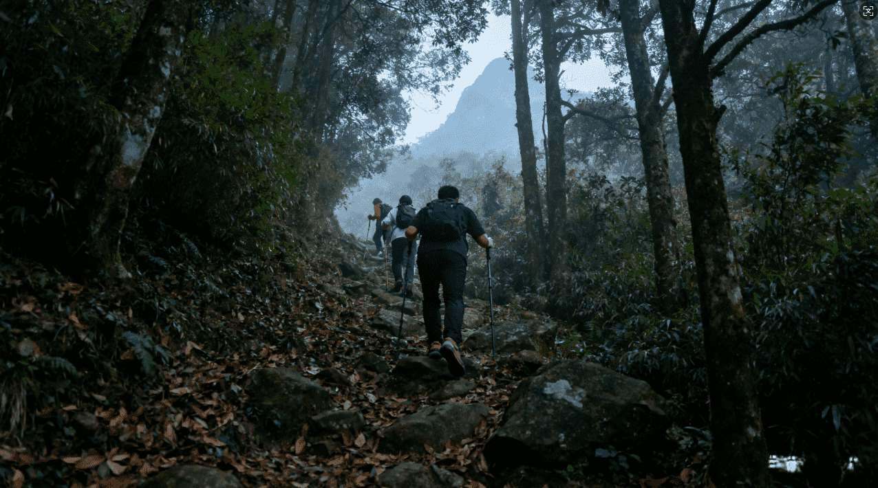 全面解析海鸥加速器VP：功能介绍与性能评测分析